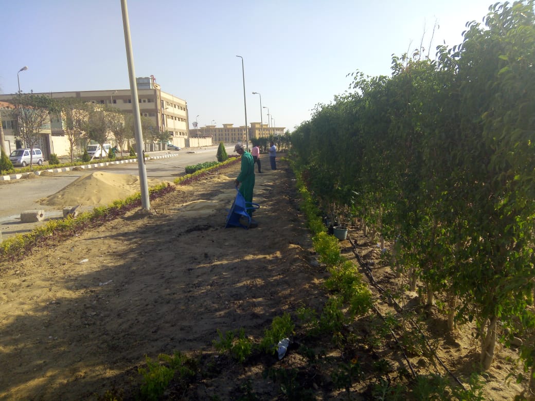 AIG Pharma - صورة 11