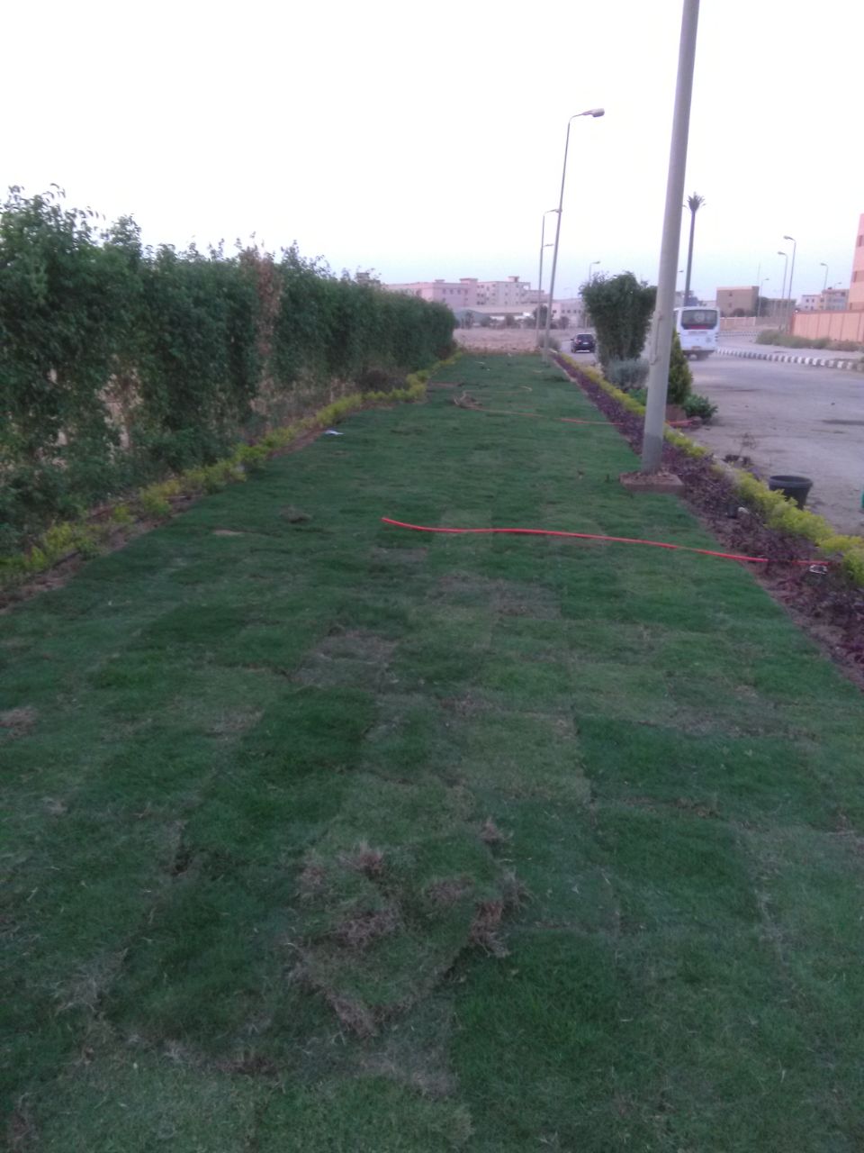 AIG Pharma - صورة 12