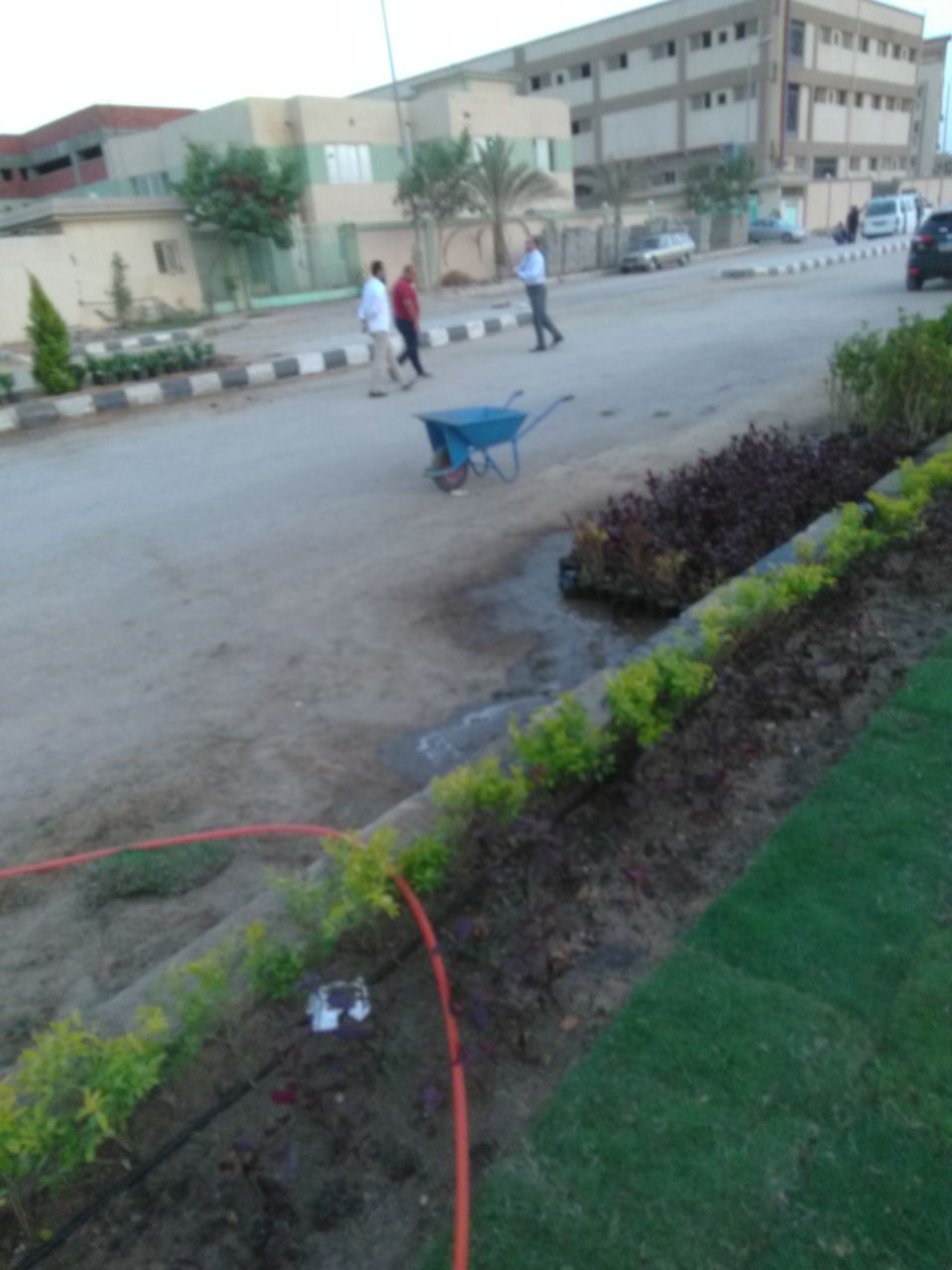 AIG Pharma - صورة 13