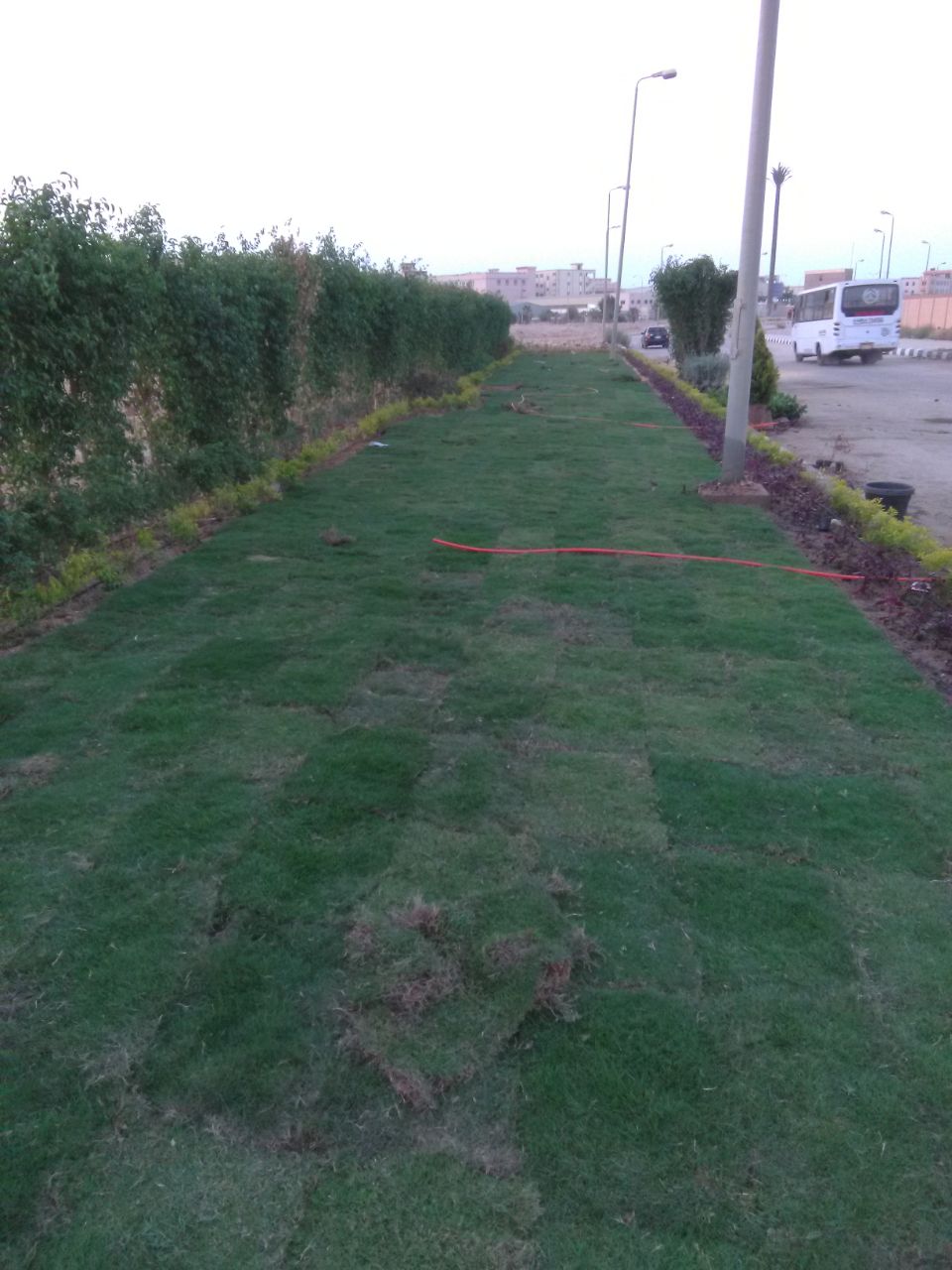 AIG Pharma - صورة 14