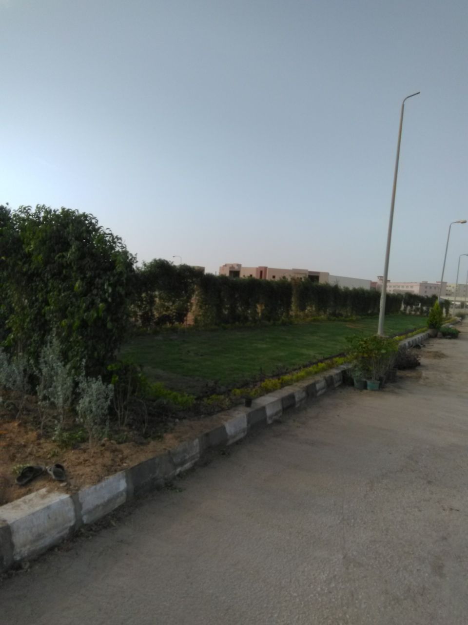 AIG Pharma - صورة 15