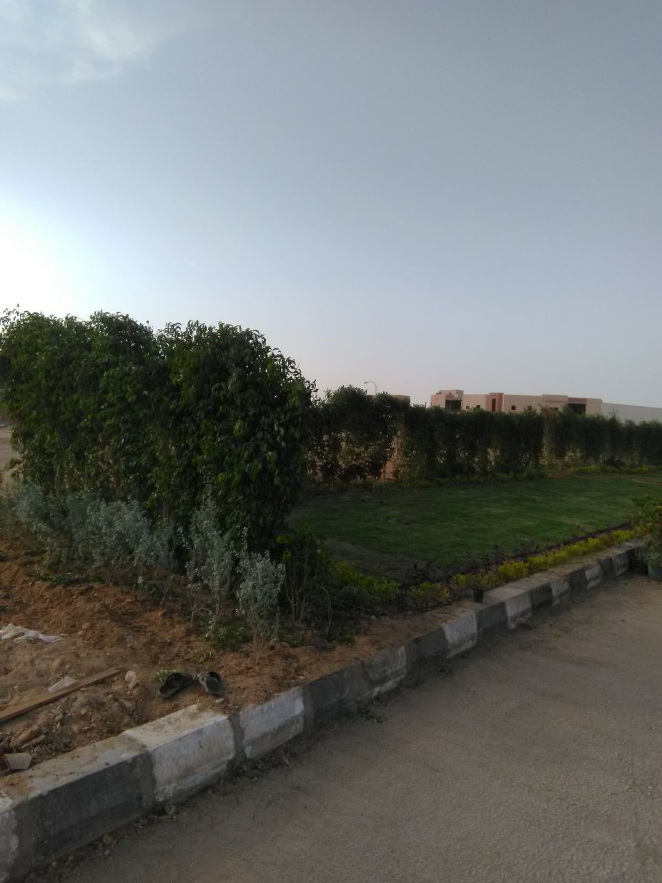 AIG Pharma - صورة 16