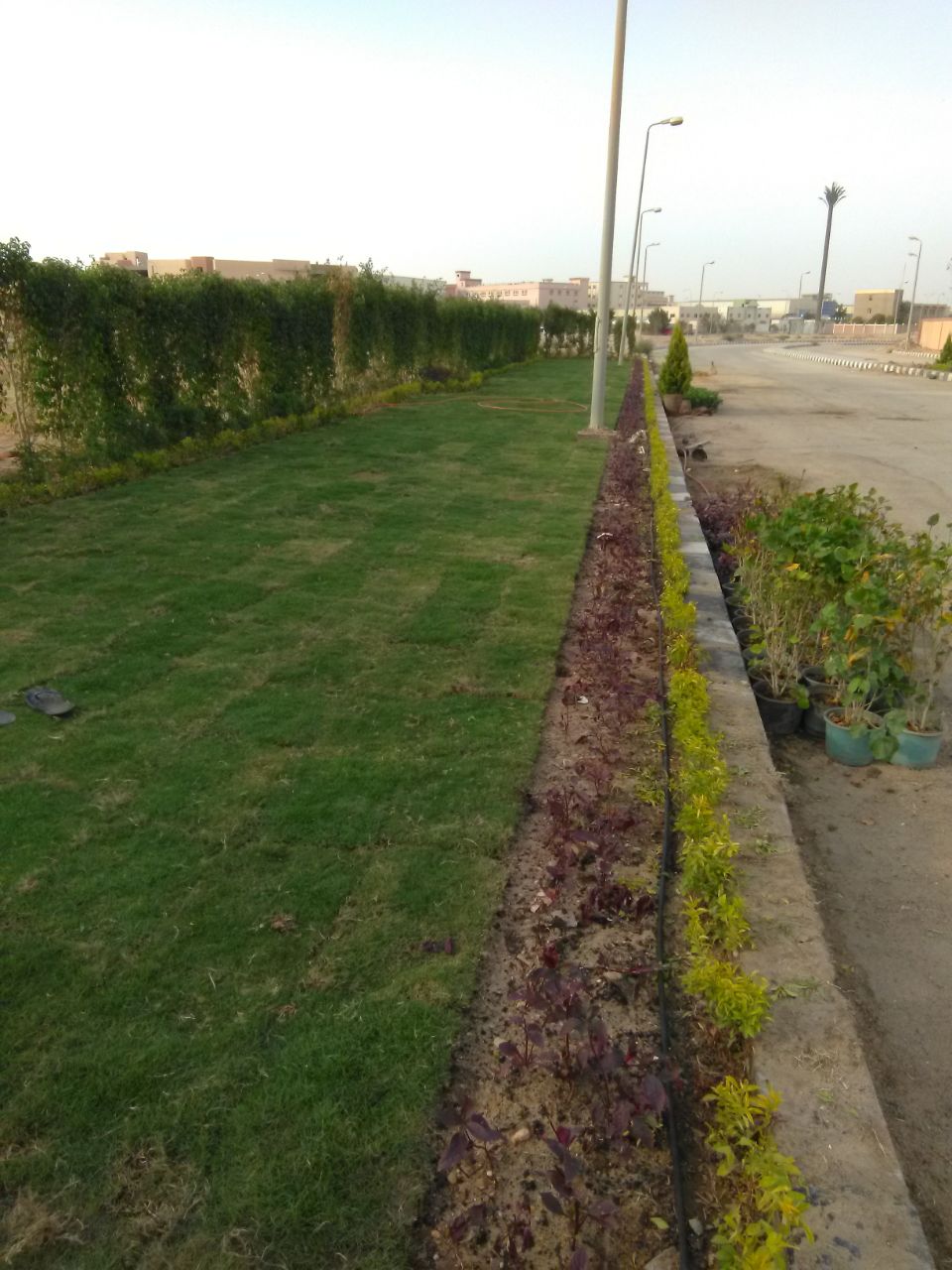 AIG Pharma - صورة 17