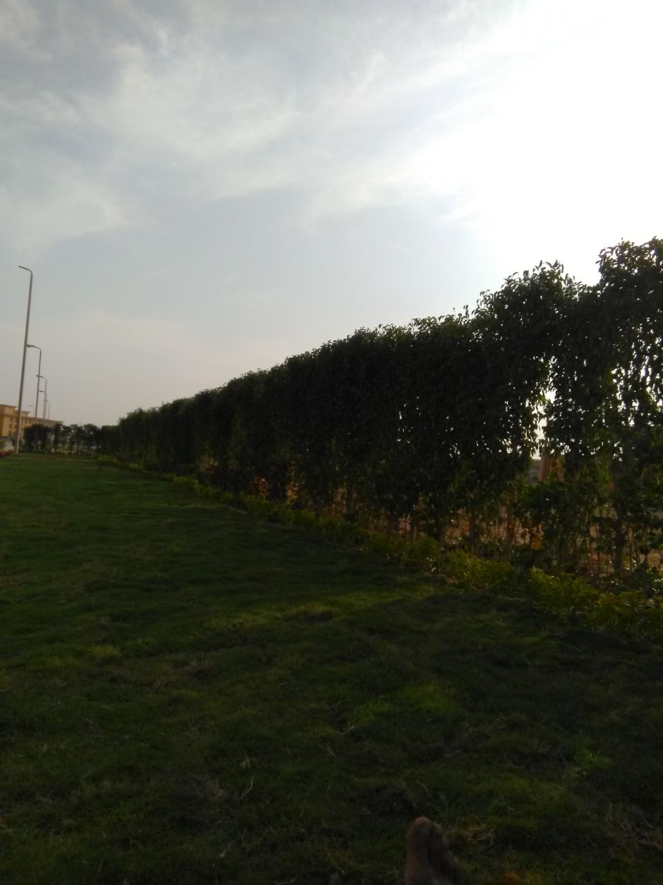 AIG Pharma - صورة 19