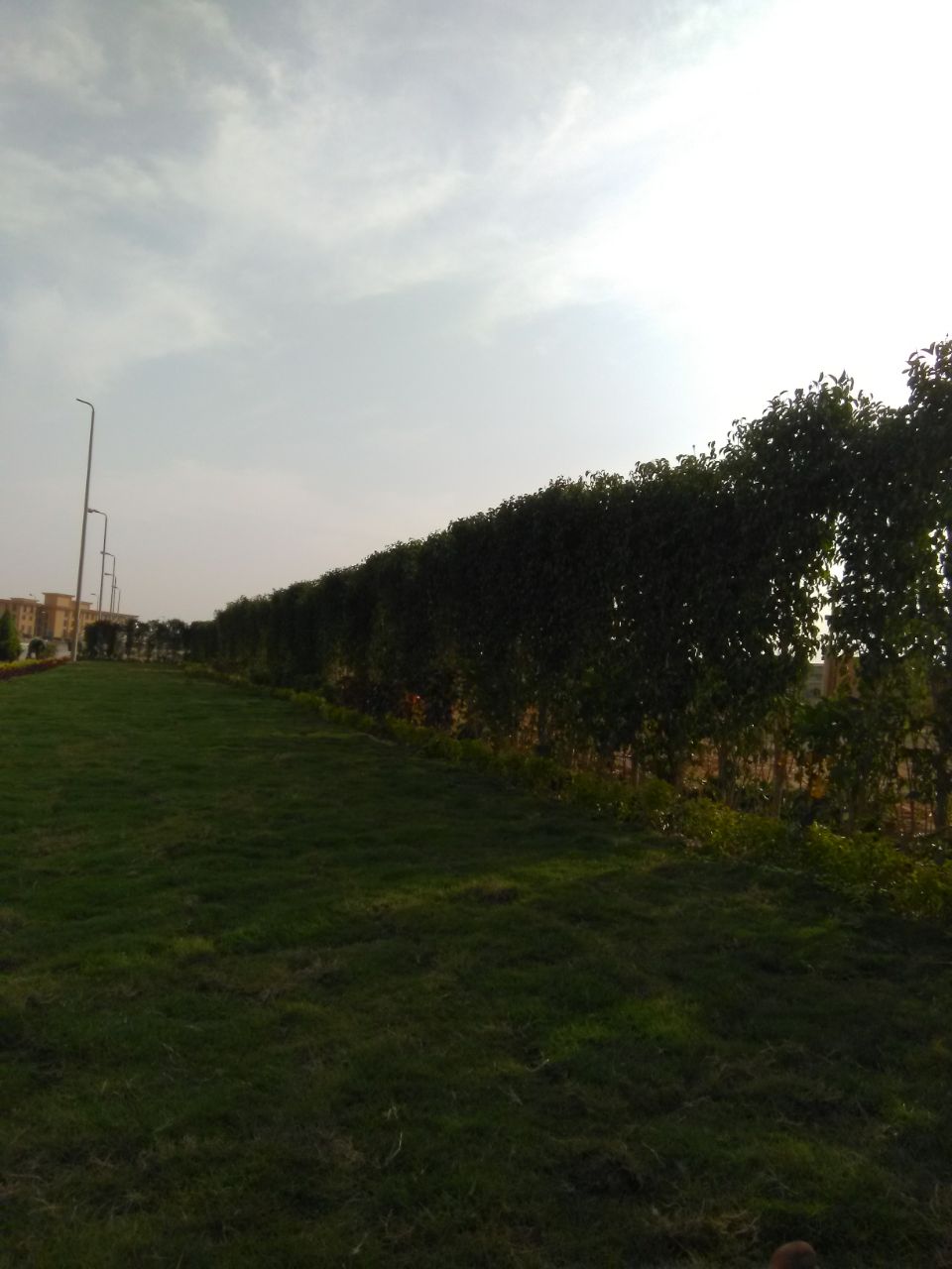 AIG Pharma - صورة 21