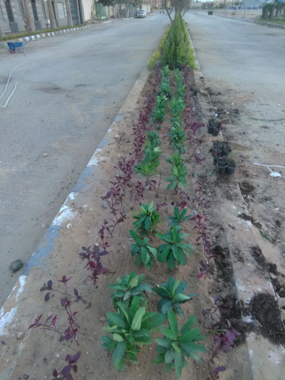 AIG Pharma - صورة 23