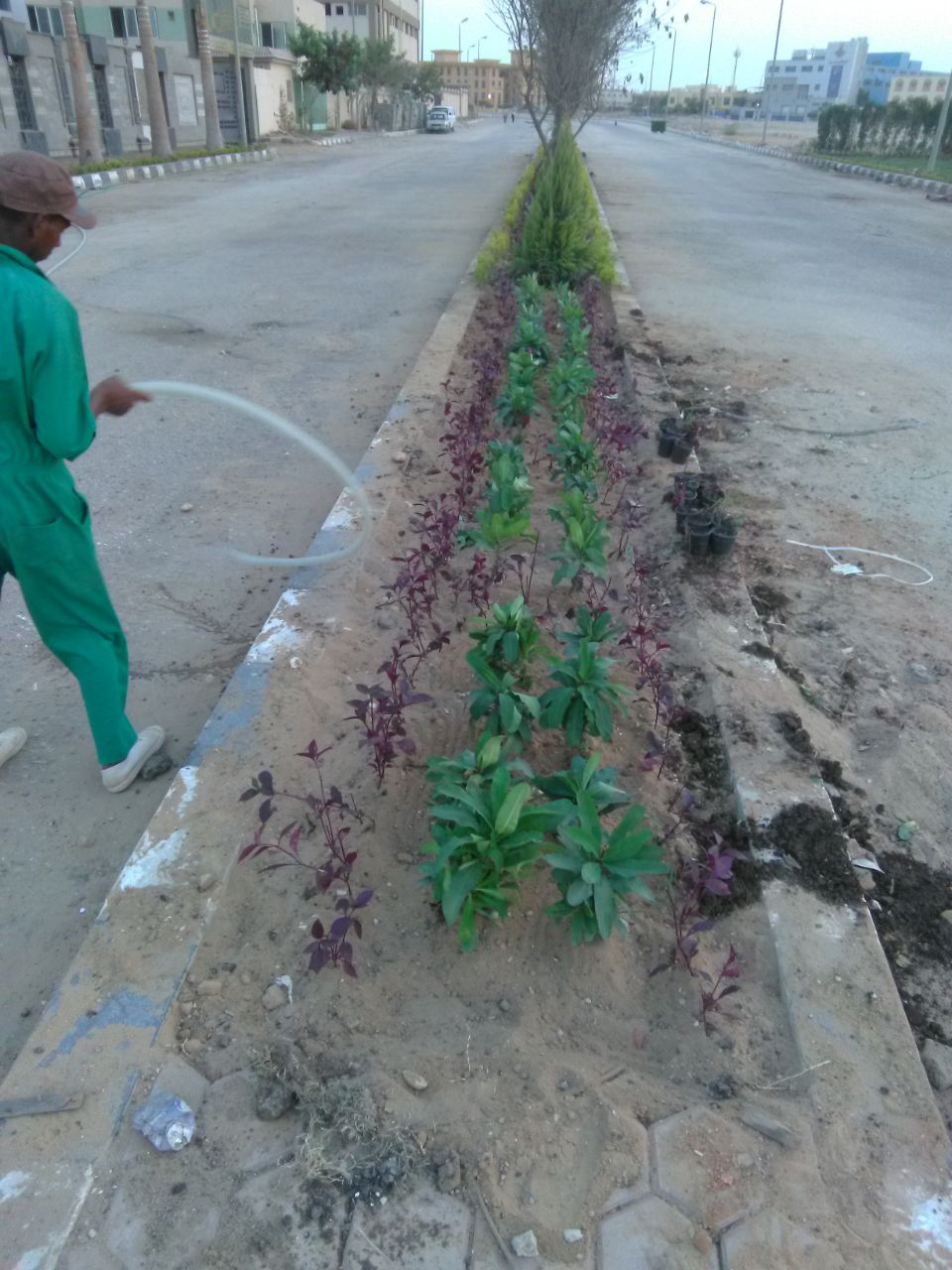 AIG Pharma - صورة 28