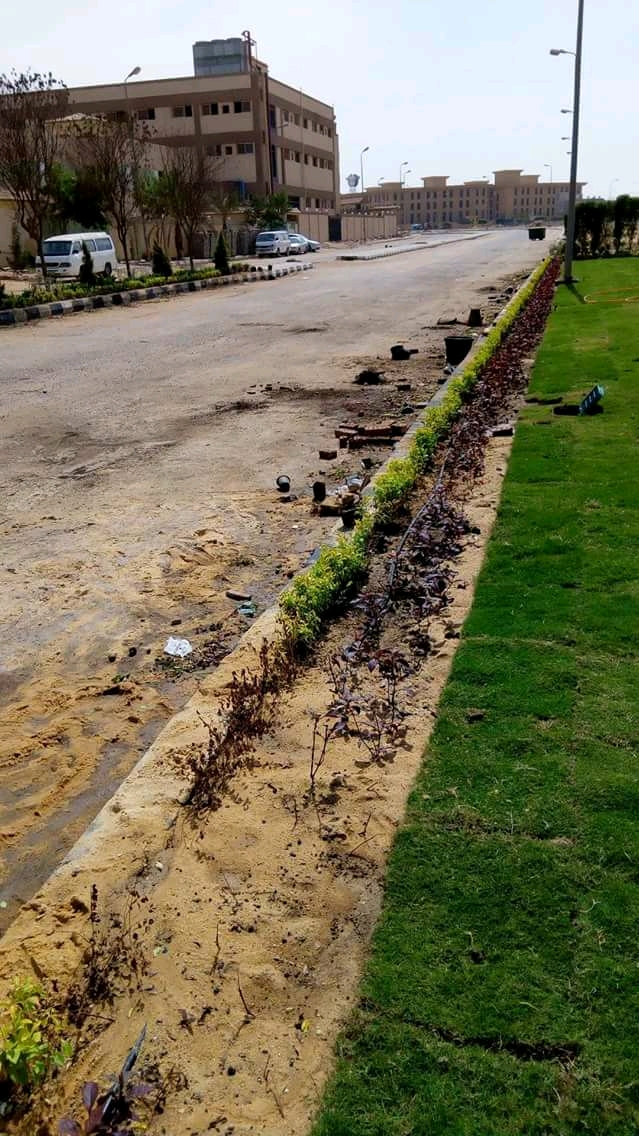 AIG Pharma - صورة 32