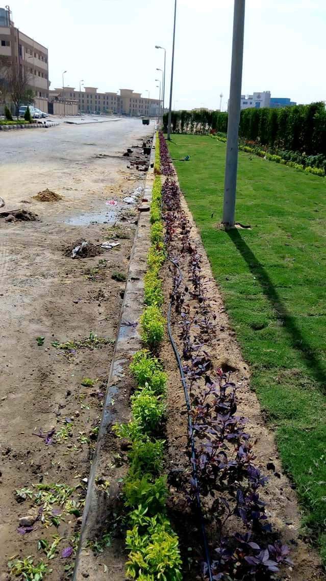 AIG Pharma - صورة 33