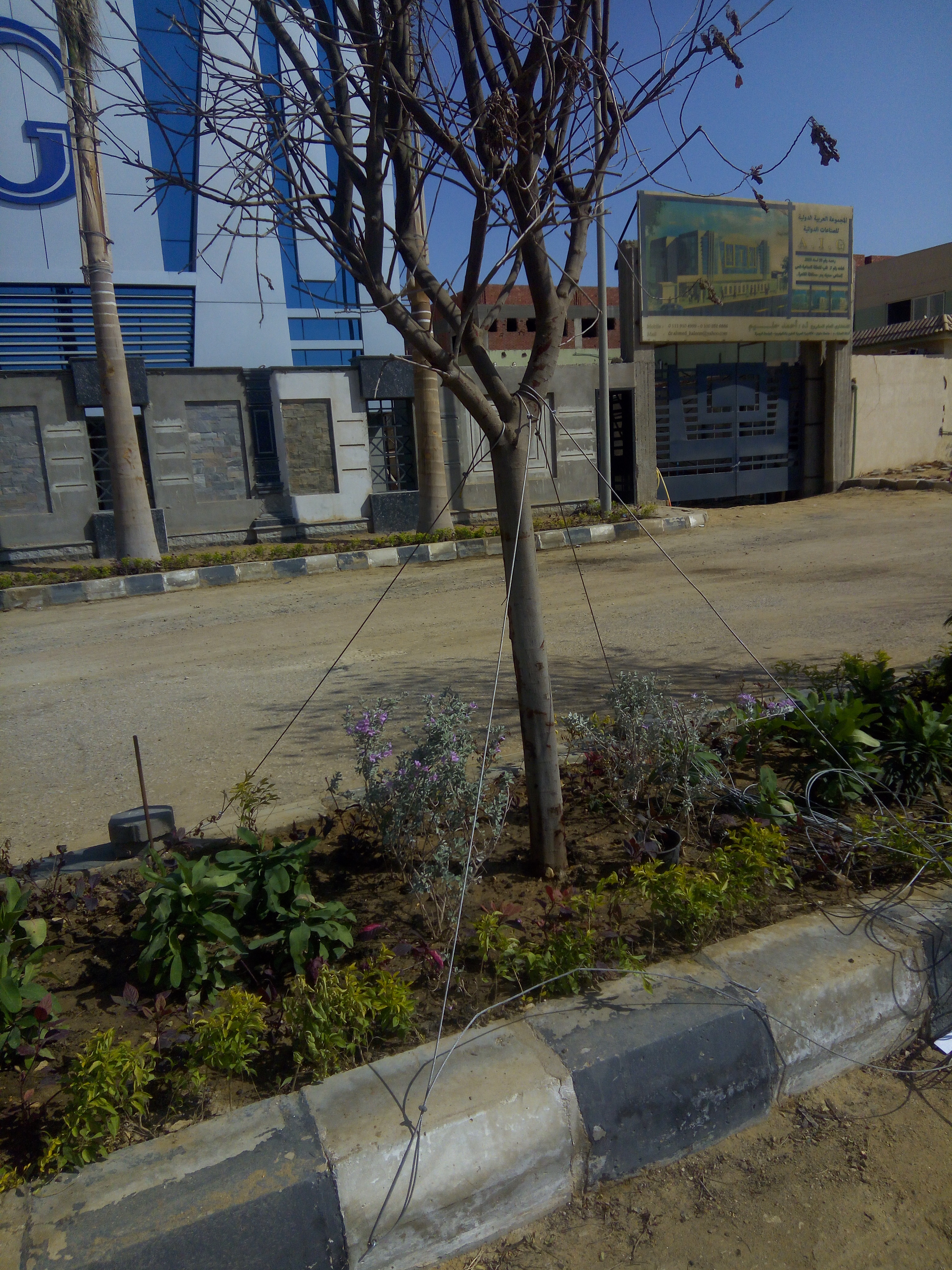 AIG Pharma - صورة 35