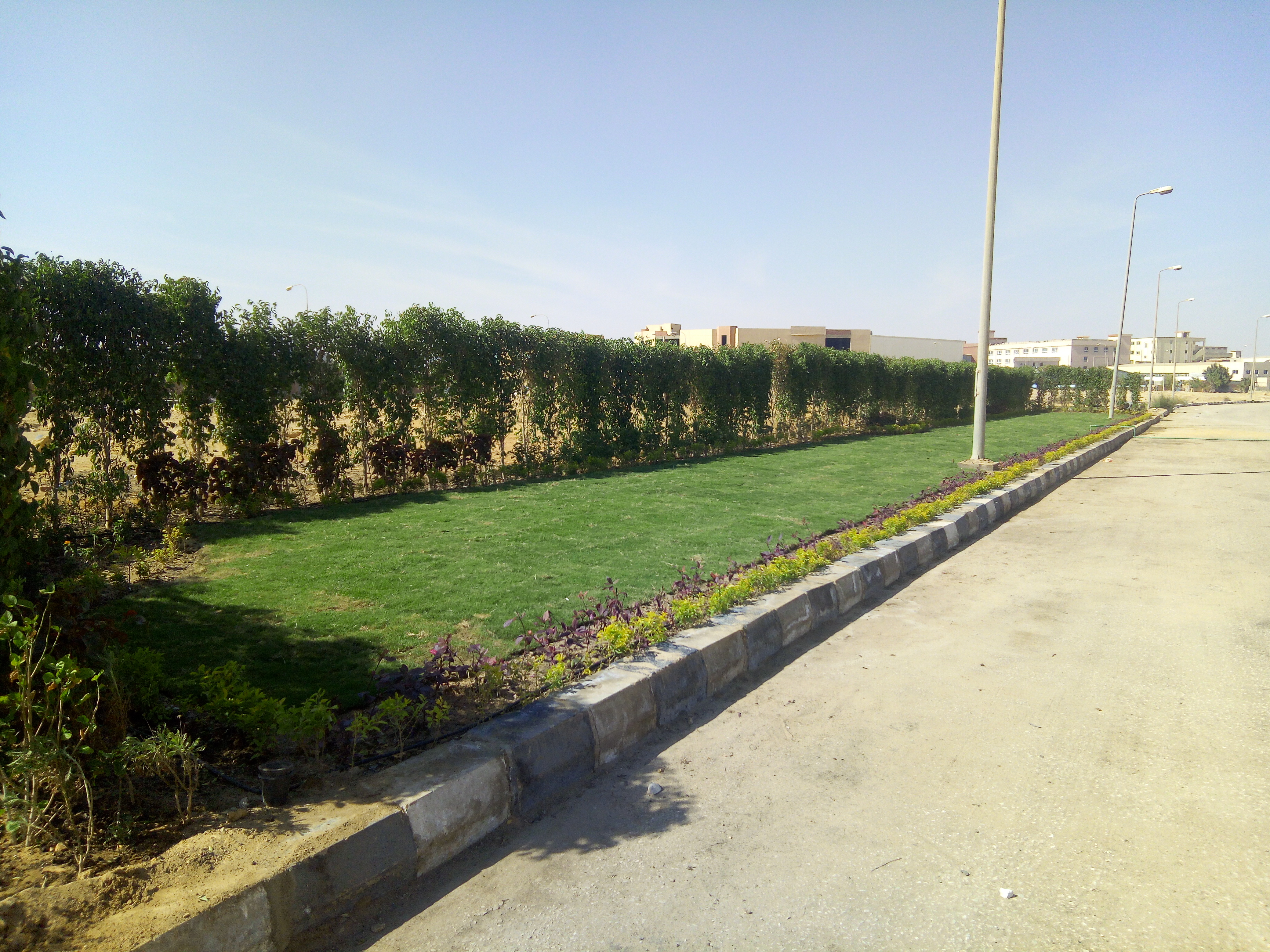 AIG Pharma - صورة 36