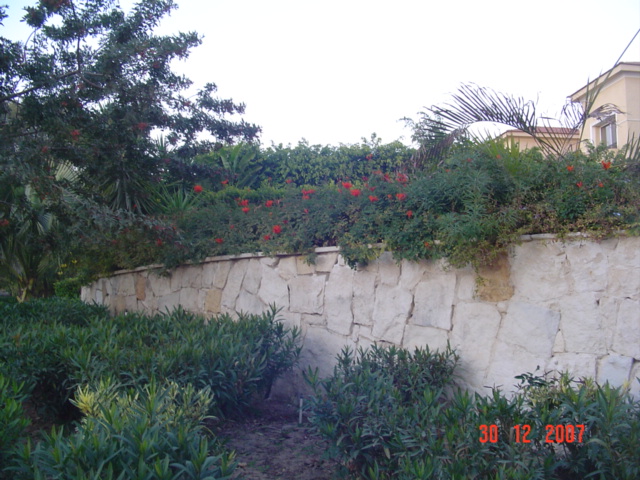 نادي أرابيلا الريفي - صورة 14