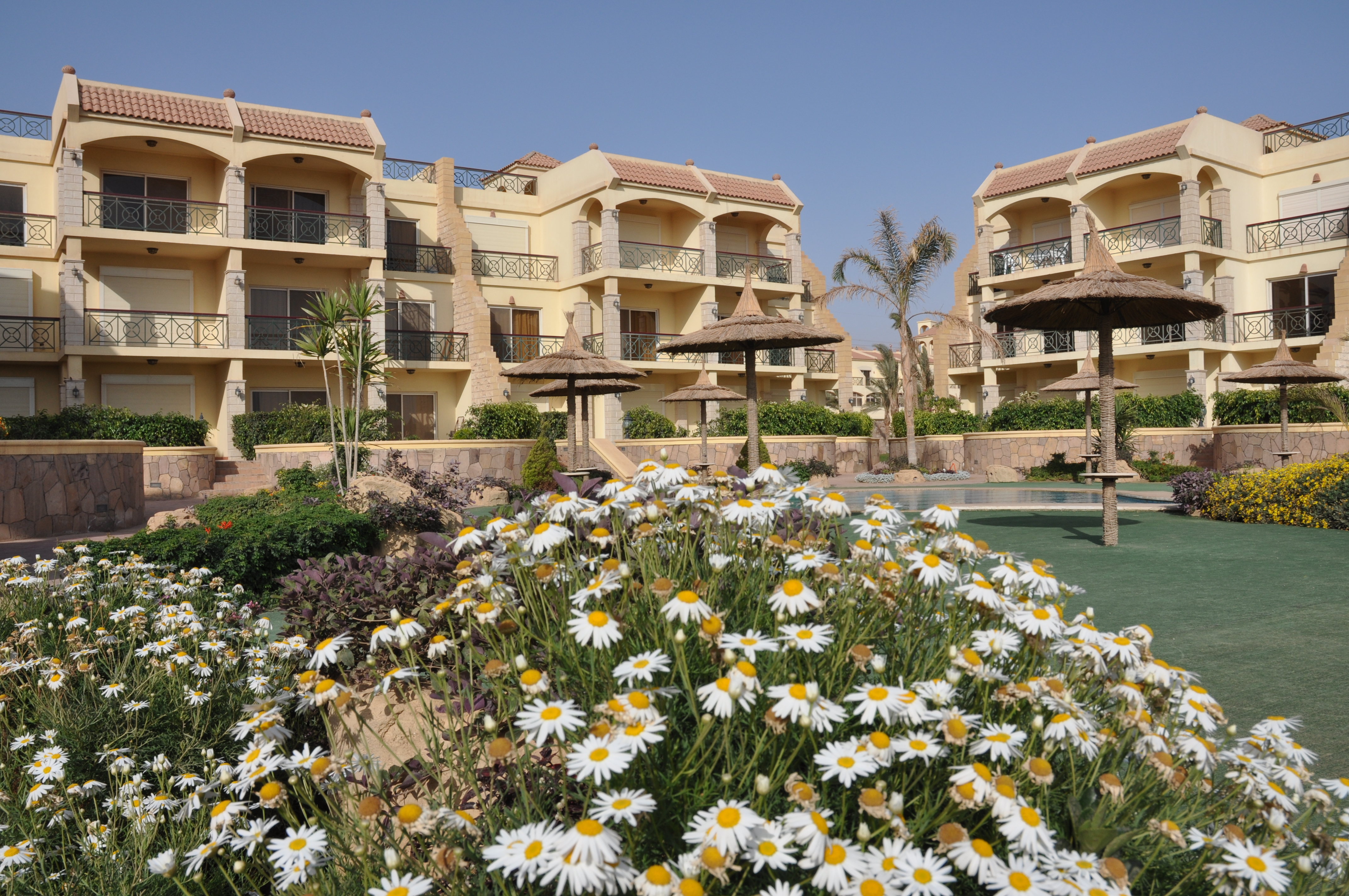 أريج - صورة 5