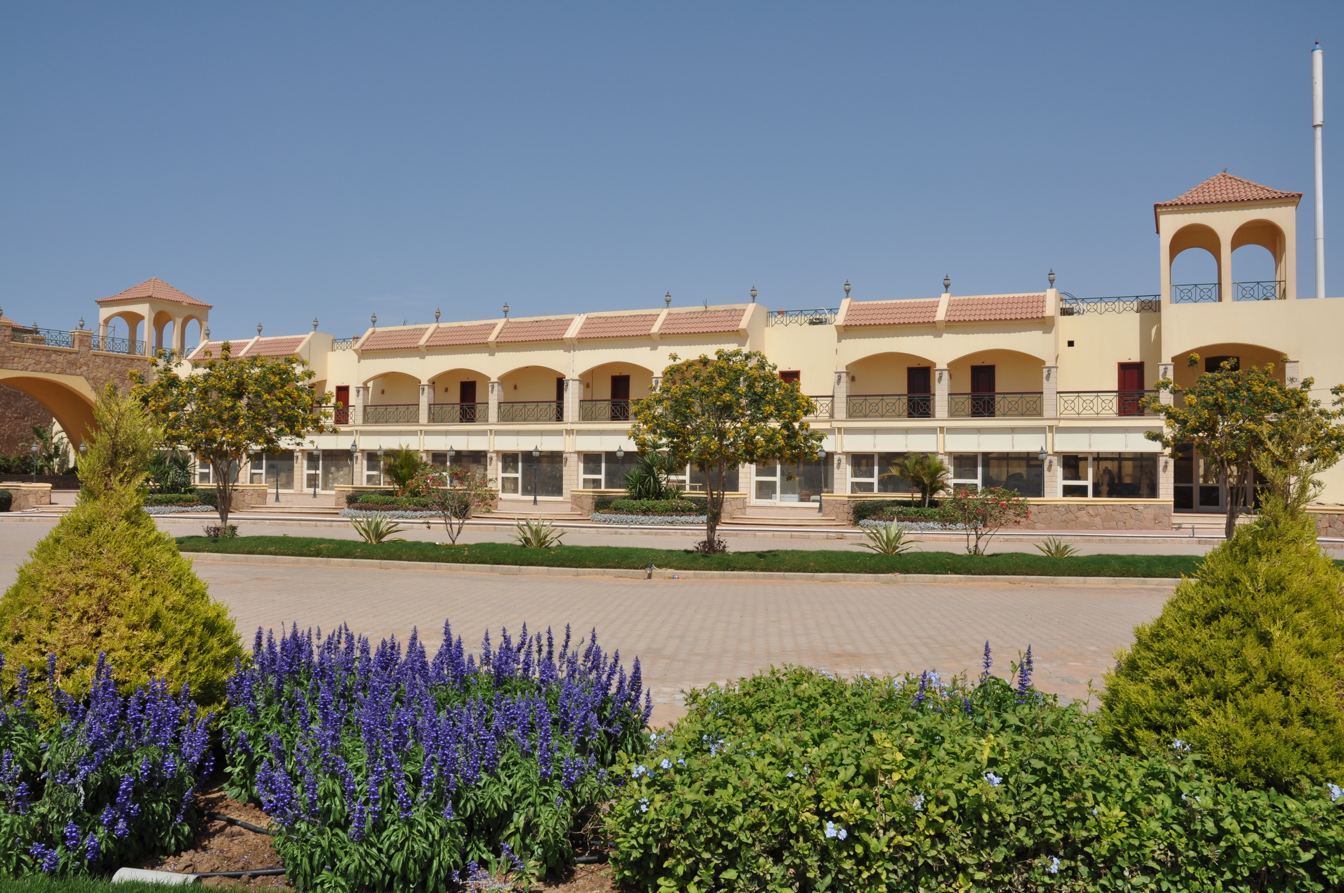 أريج - صورة 10