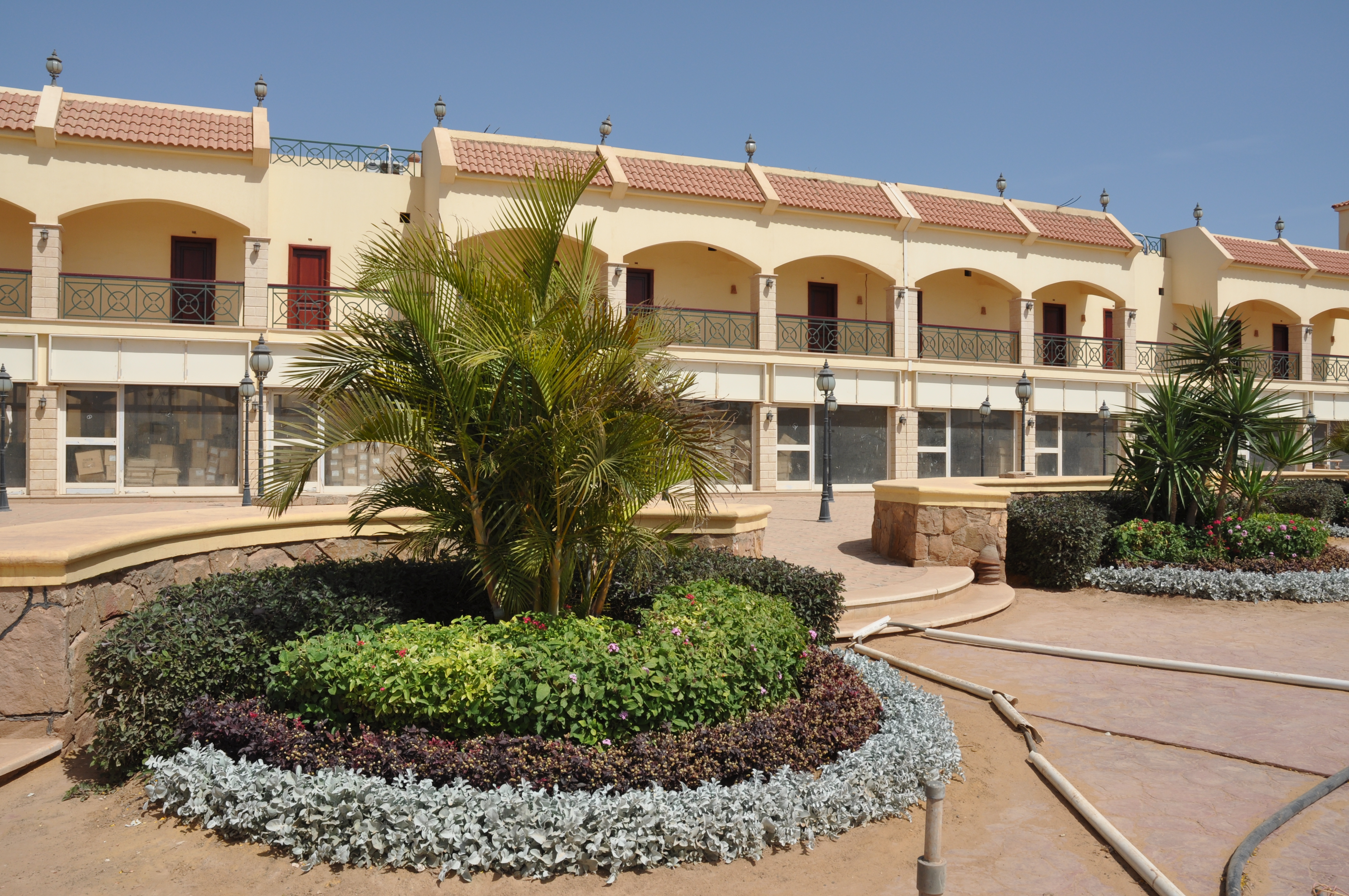 أريج - صورة 12