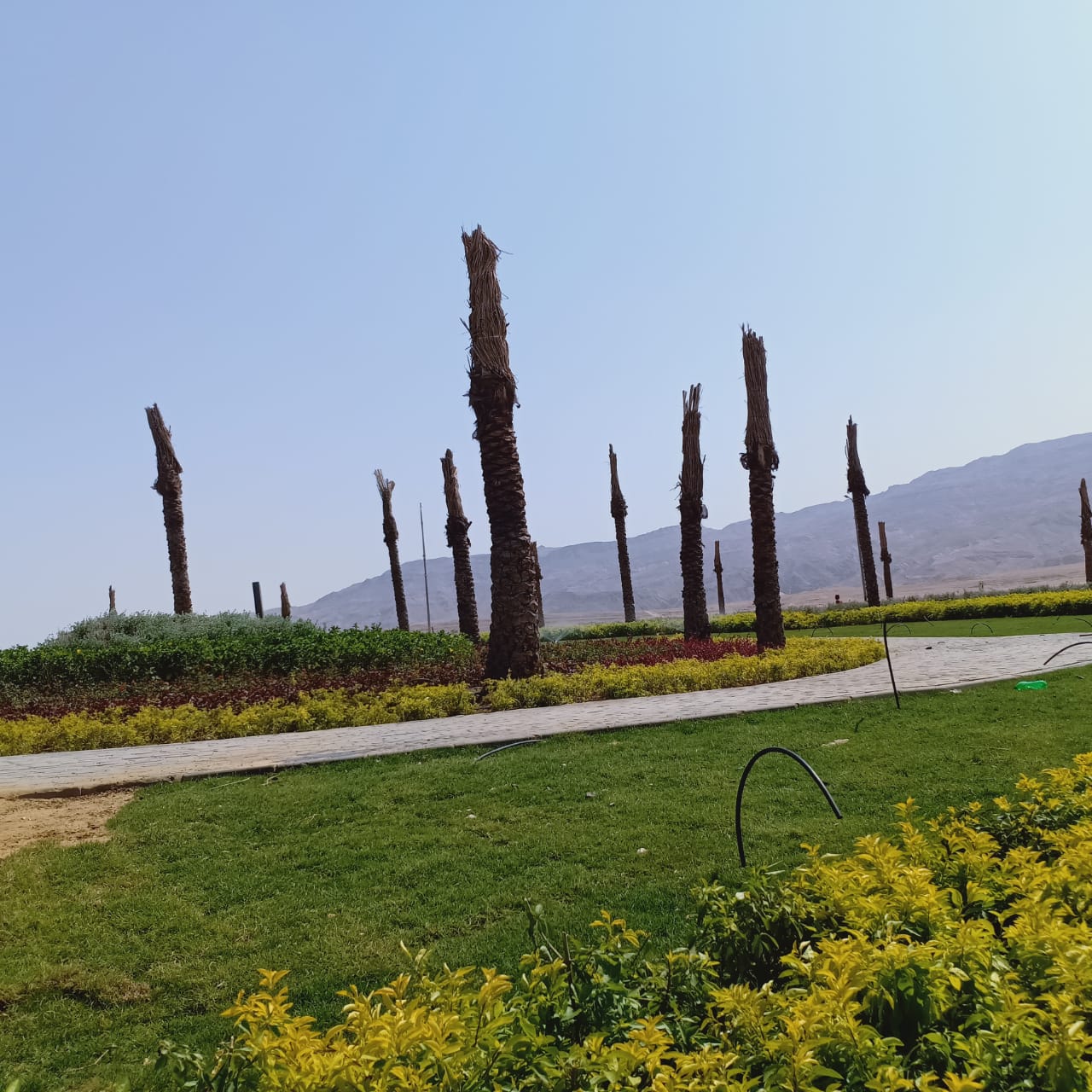 مدينة الجلالة الجديدة - صورة 2