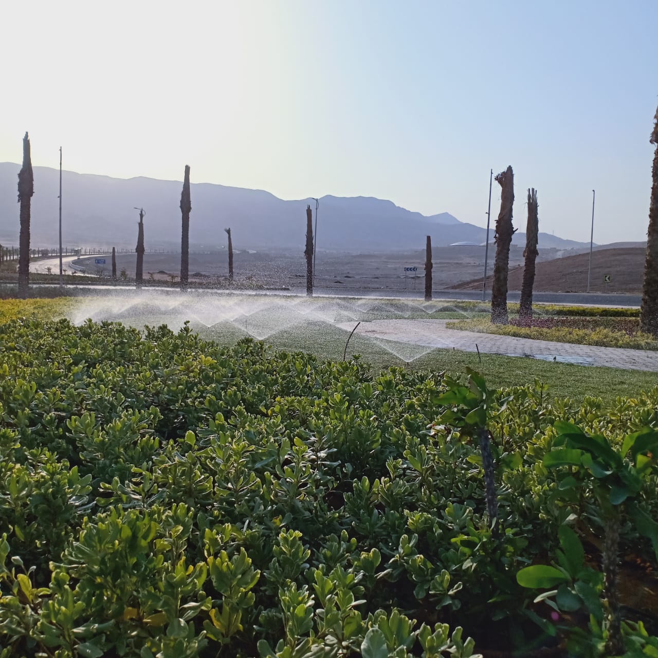 مدينة الجلالة الجديدة