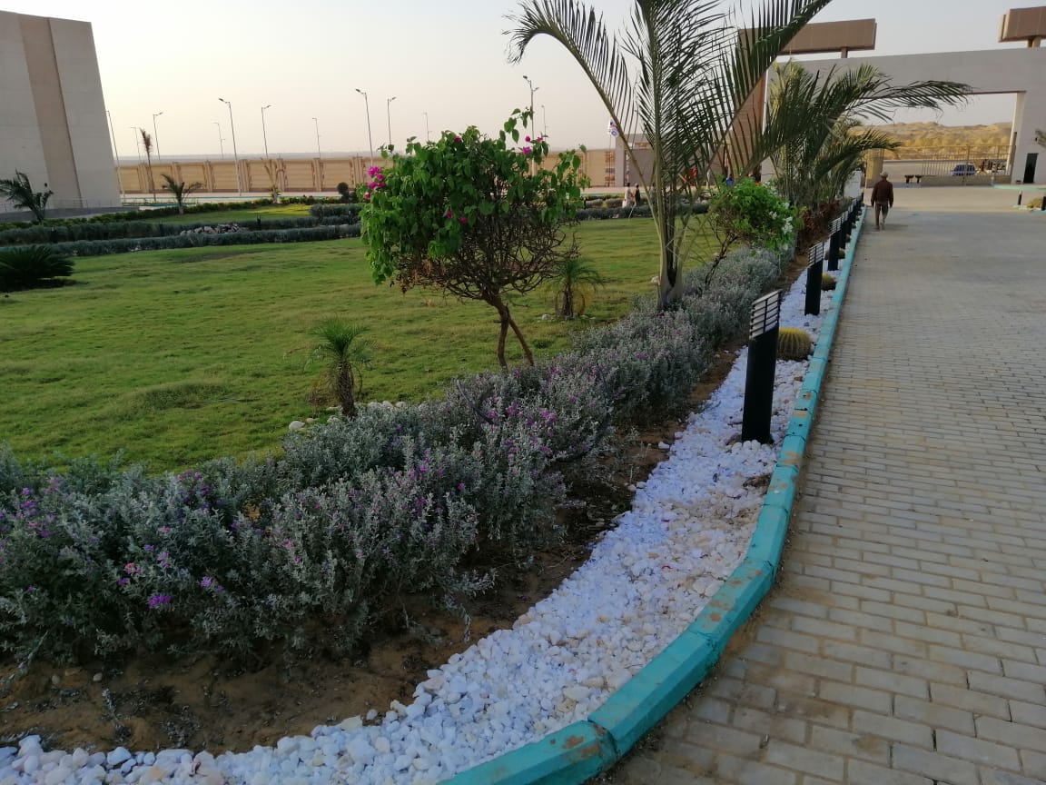 مستشفى الشهداء - صورة 7