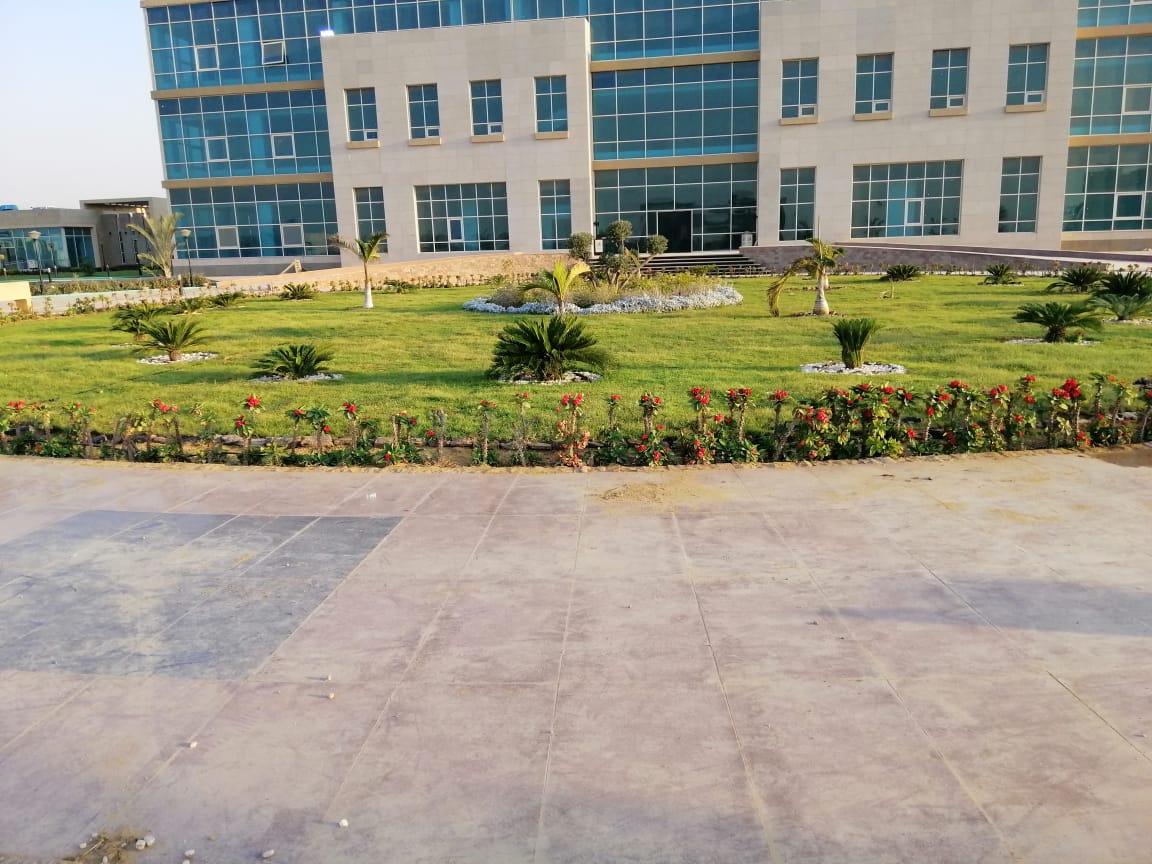 مستشفى الشهداء - صورة 10