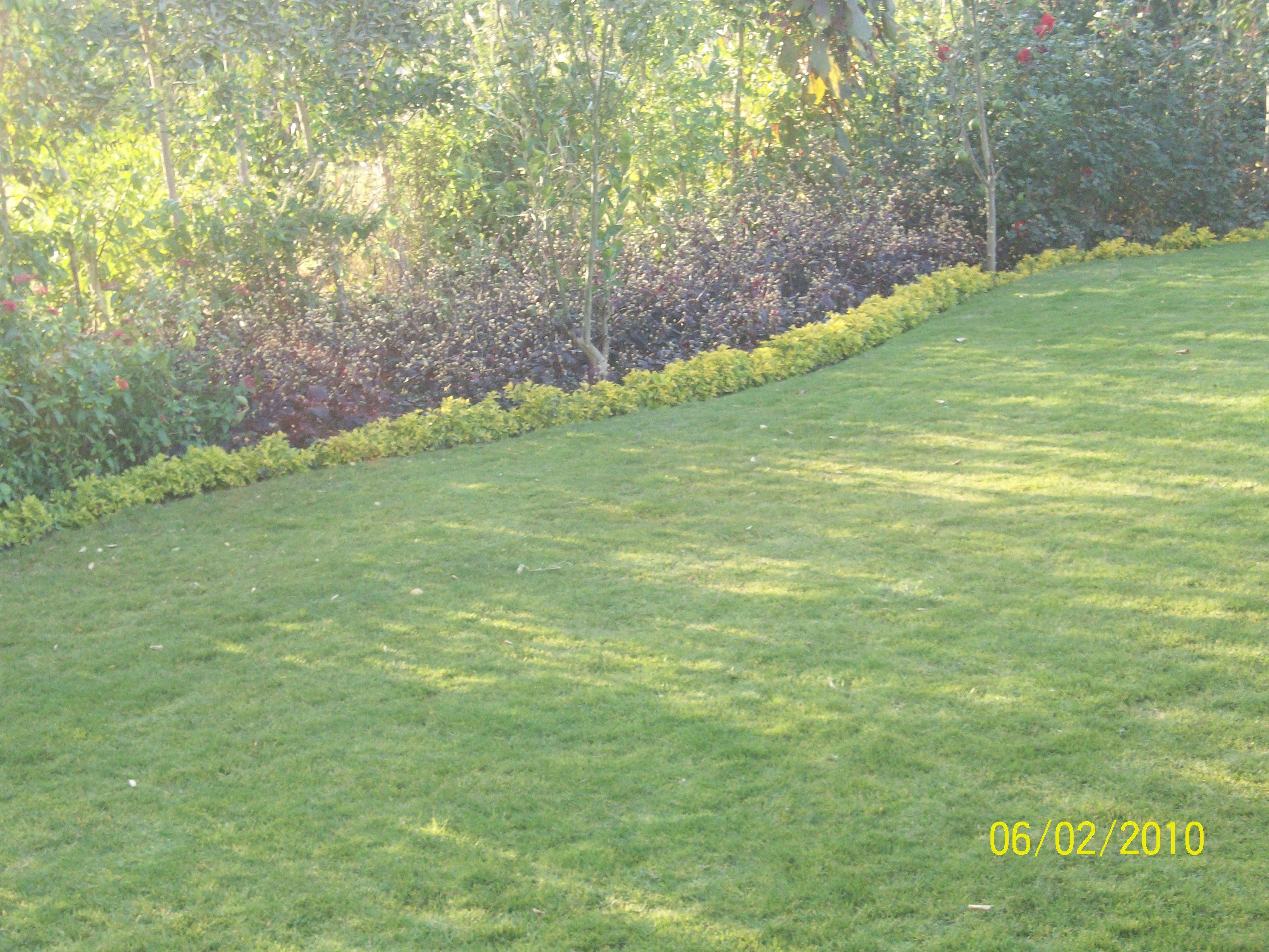 فيلا شخصية - 6 أكتوبر - صورة 3