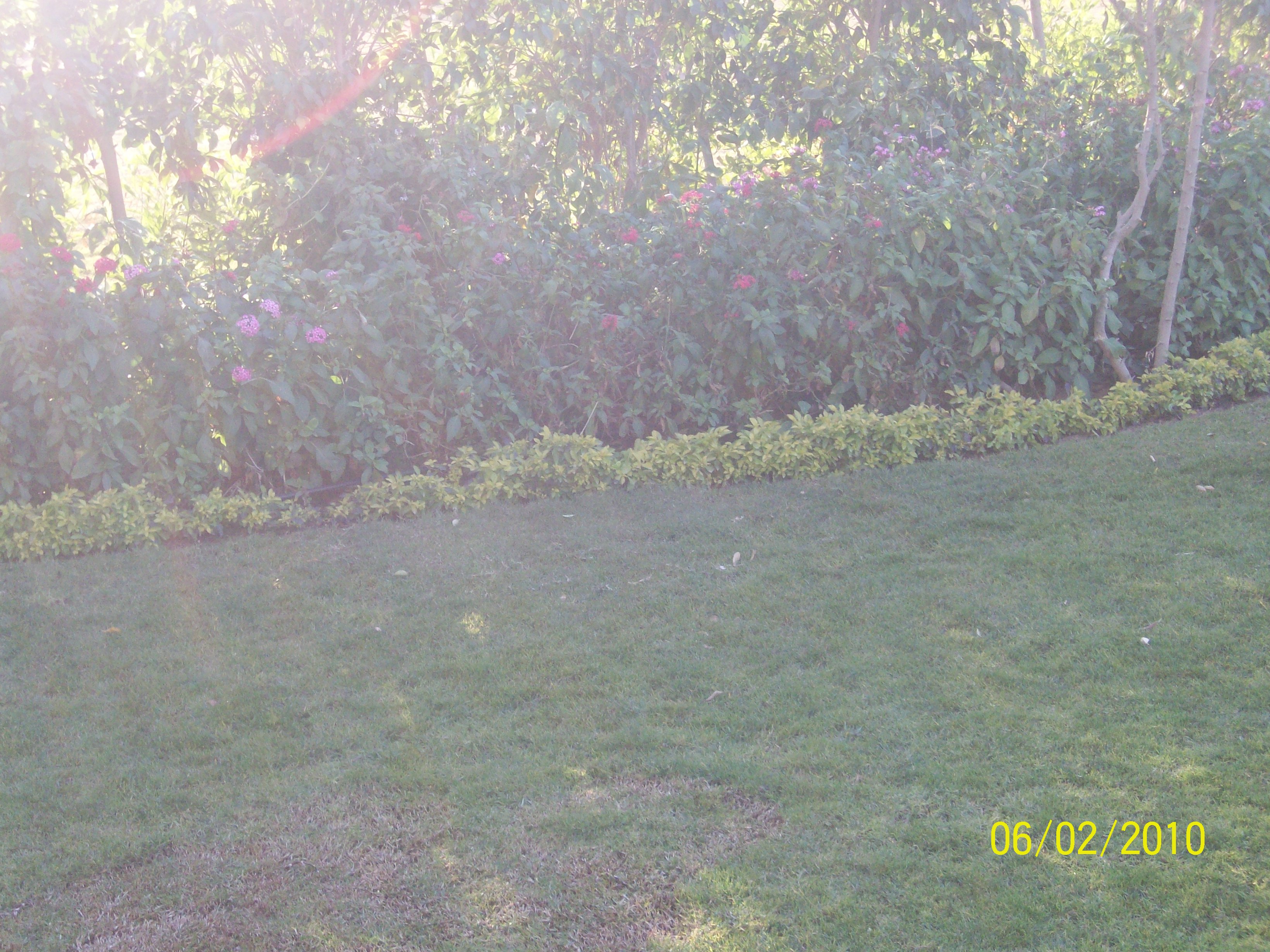 فيلا شخصية - 6 أكتوبر - صورة 4