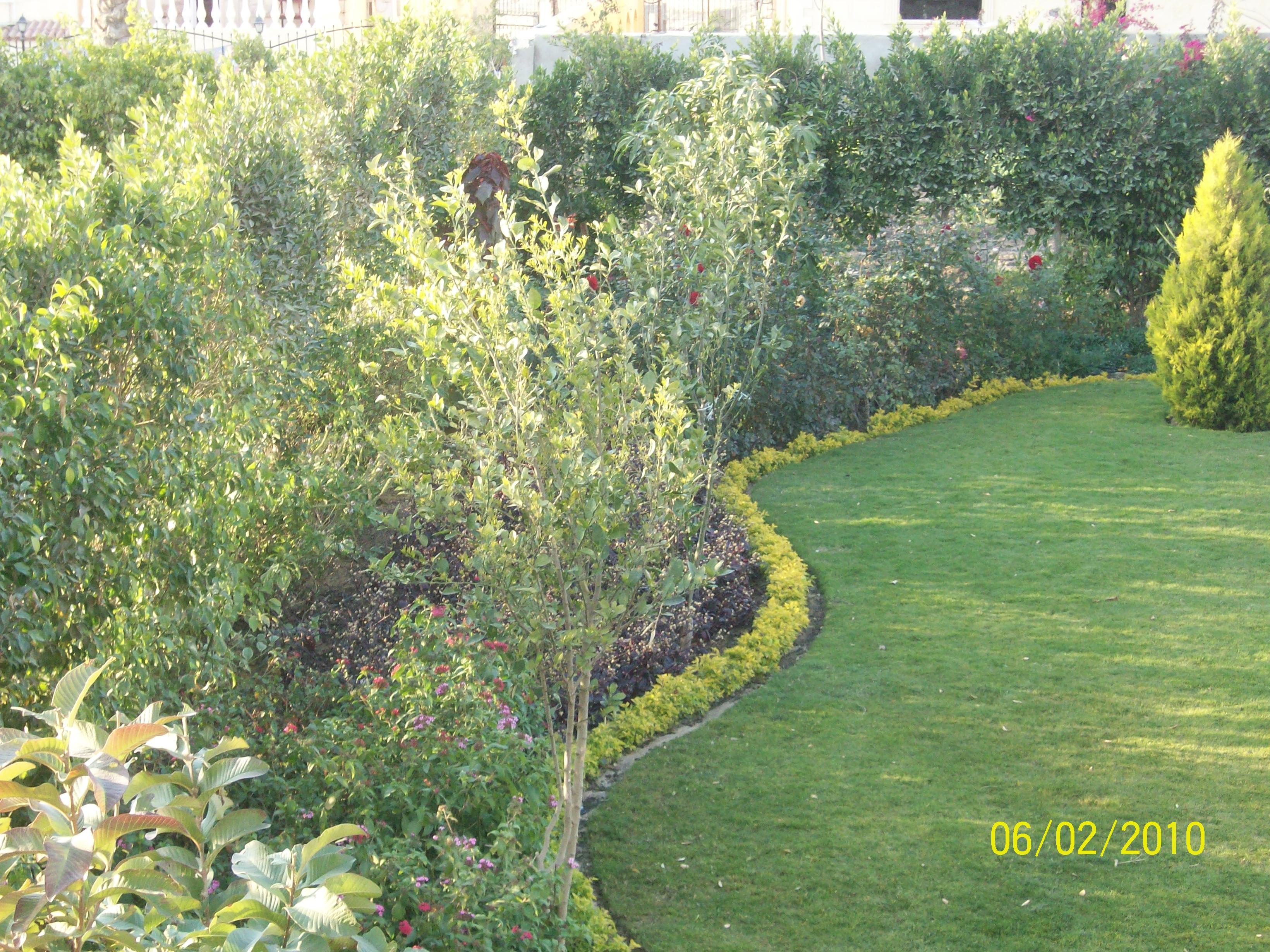 فيلا شخصية - 6 أكتوبر - صورة 8