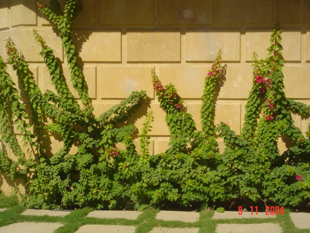 فيلا شخصية - قطامية هايتس 2 - صورة 1