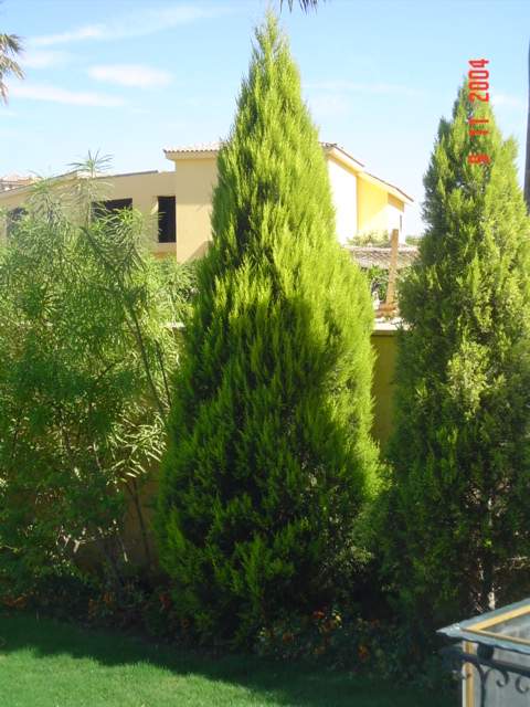 فيلا شخصية - قطامية هايتس 2 - صورة 5