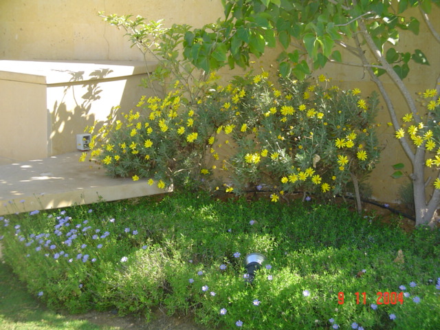 فيلا شخصية - قطامية هايتس 2 - صورة 6