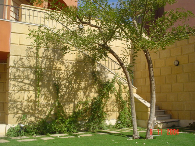 فيلا شخصية - قطامية هايتس 2 - صورة 13