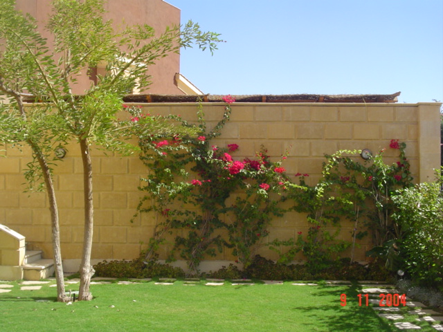 فيلا شخصية - قطامية هايتس 2 - صورة 15