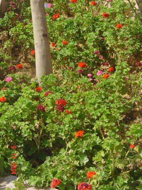 فيلا شخصية - قطامية هايتس 2 - صورة 18