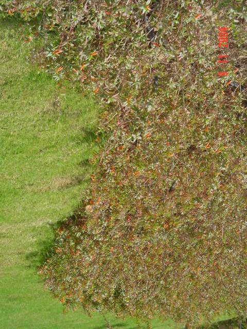 فيلا شخصية - قطامية هايتس 2 - صورة 19