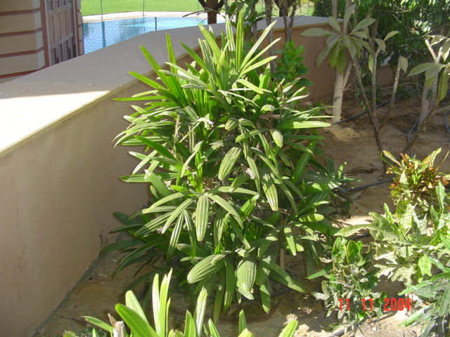 فيلا شخصية - قطامية هايتس 2 - صورة 26