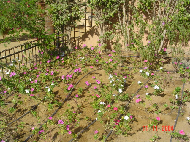 فيلا شخصية - قطامية هايتس 2 - صورة 29