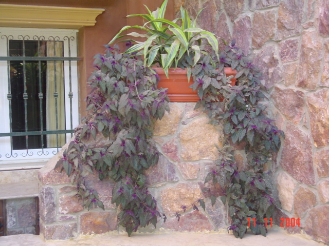 فيلا شخصية - قطامية هايتس 2 - صورة 33