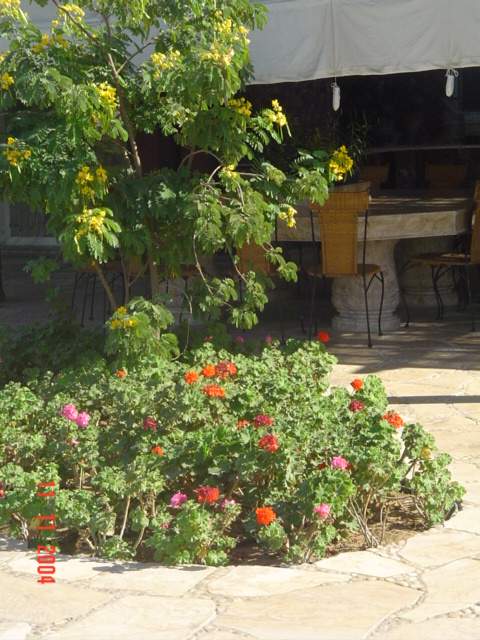 فيلا شخصية - قطامية هايتس 2 - صورة 38