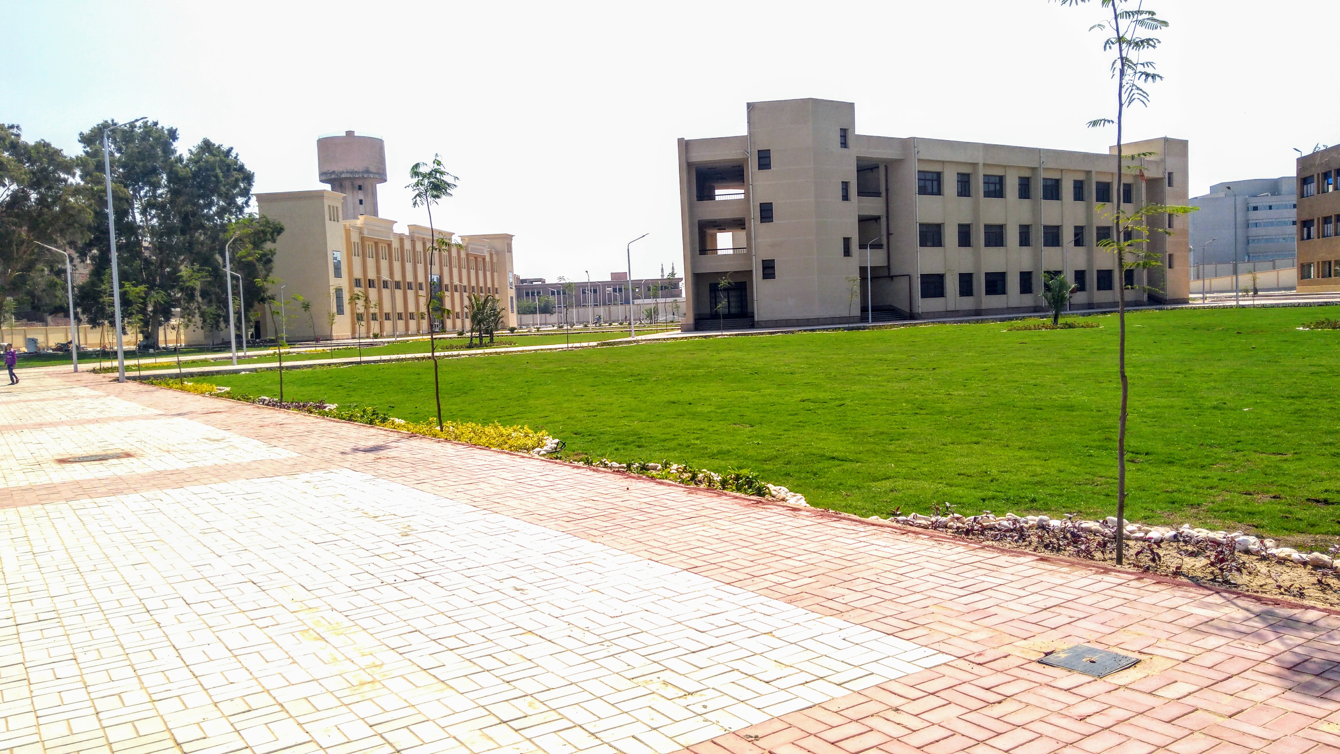 المعهد الفني الصناعي بقويسنا - صورة 6