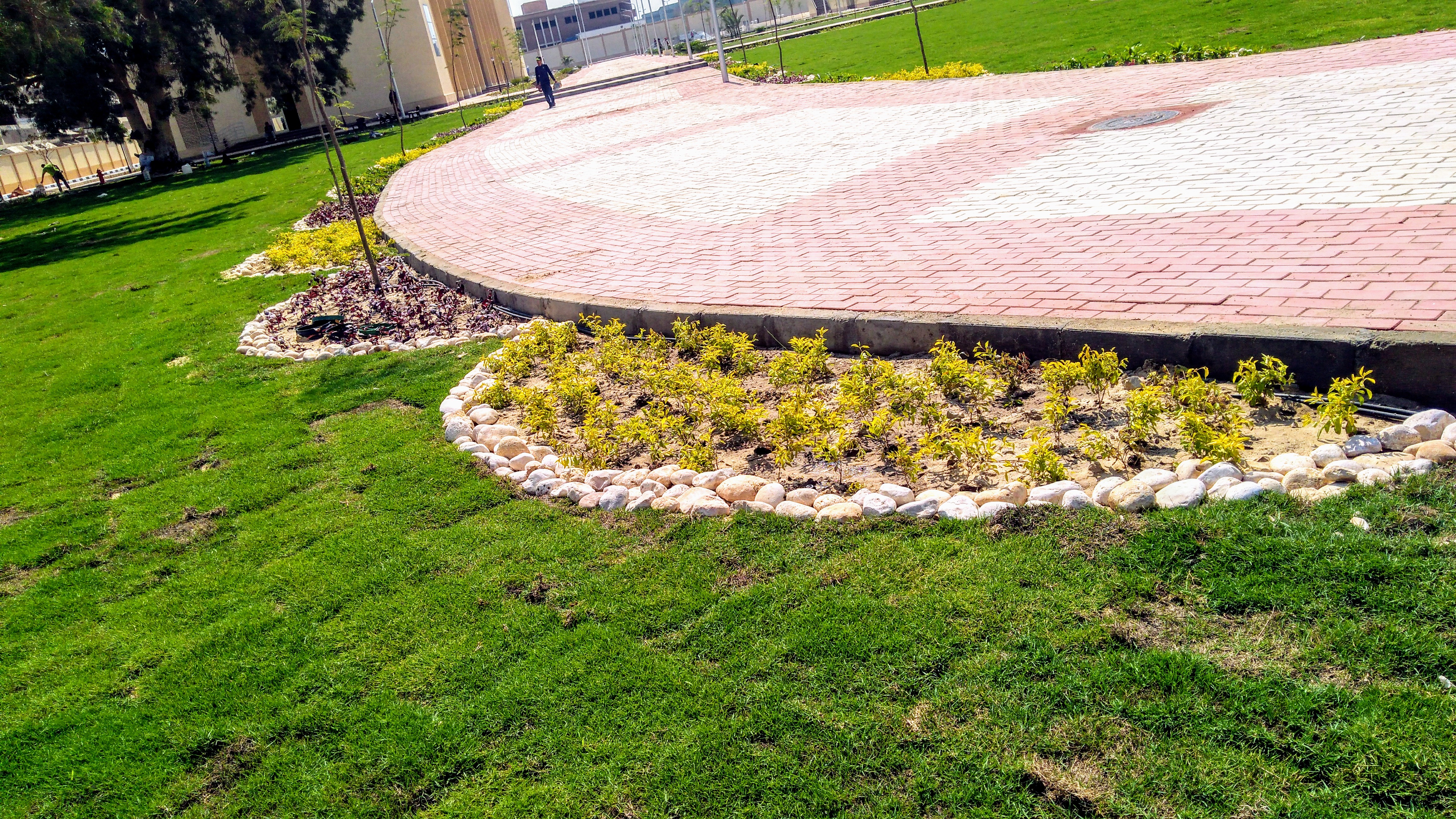 المعهد الفني الصناعي بقويسنا - صورة 7