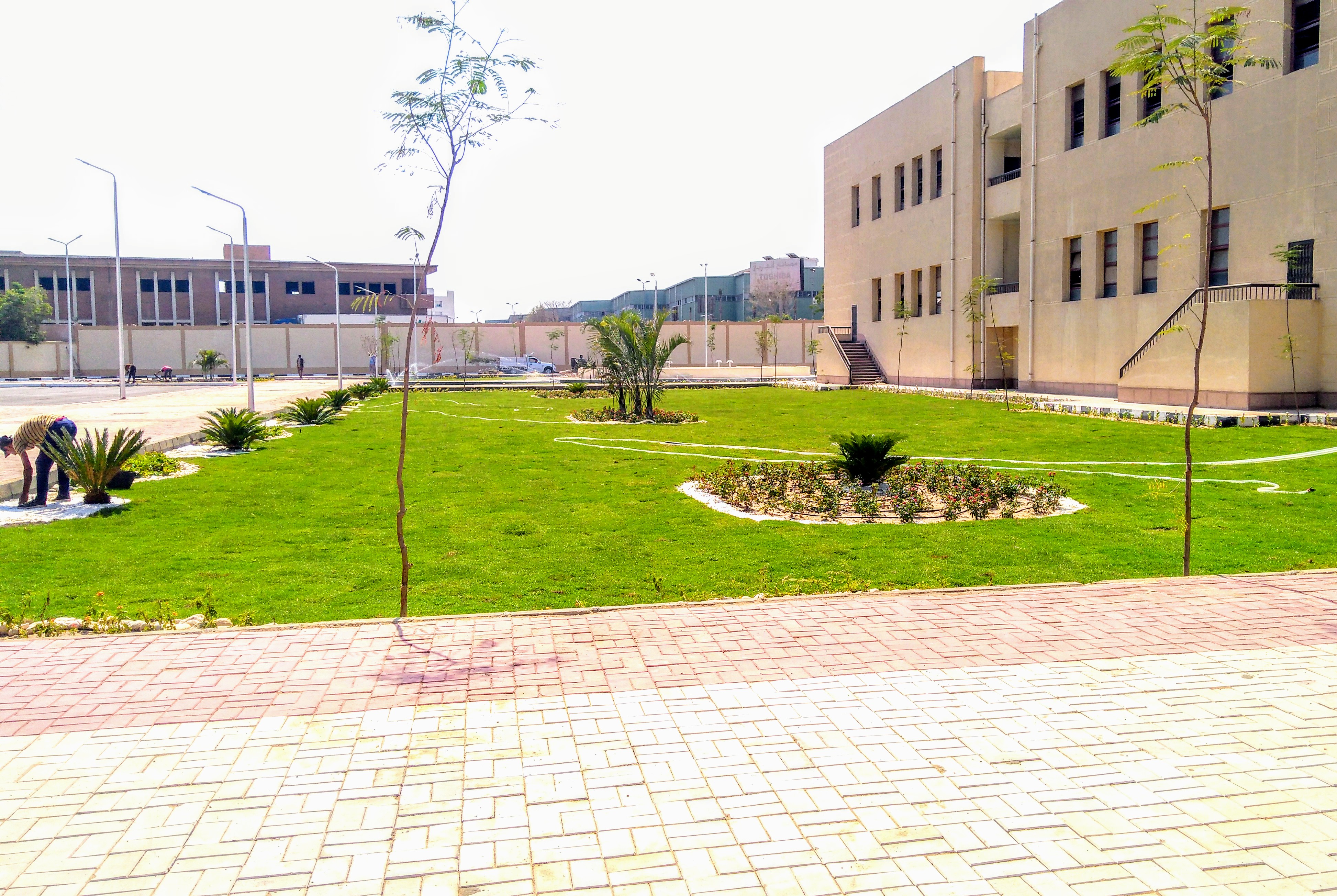 المعهد الفني الصناعي بقويسنا - صورة 9