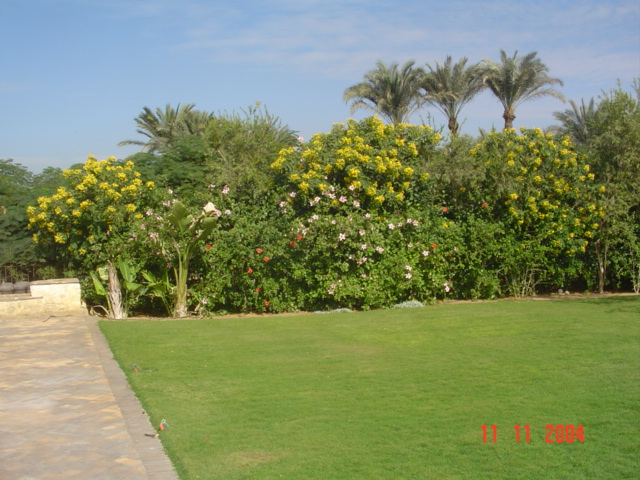 فيلا شخصية - سقارة - صورة 1