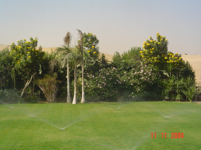 فيلا شخصية - سقارة - صورة 2