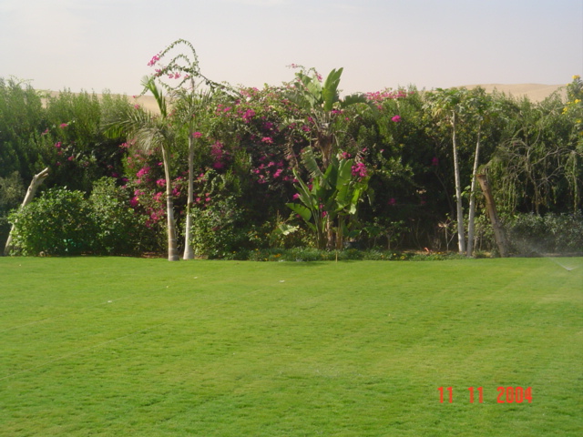 فيلا شخصية - سقارة - صورة 3