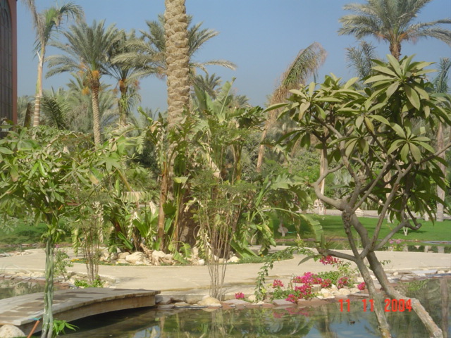 فيلا شخصية - سقارة - صورة 14