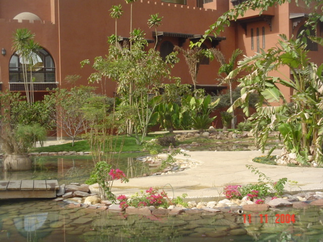 فيلا شخصية - سقارة - صورة 15