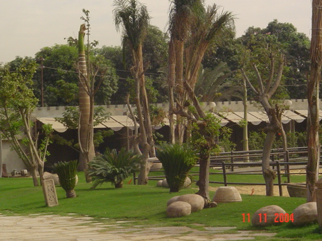 فيلا شخصية - سقارة - صورة 16