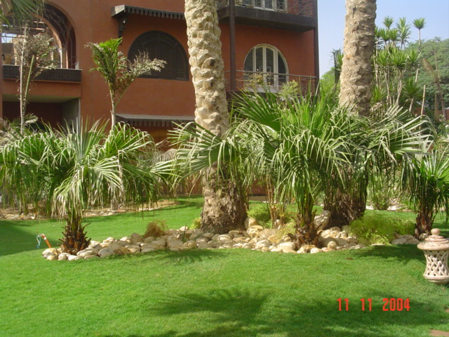 فيلا شخصية - سقارة - صورة 21