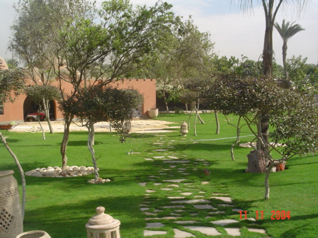 فيلا شخصية - سقارة - صورة 26