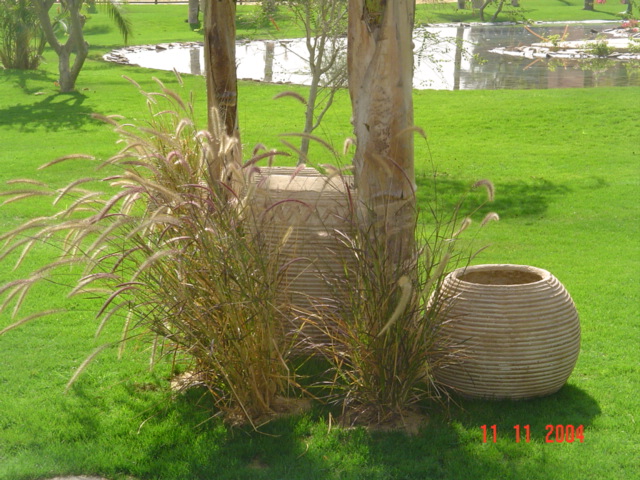 فيلا شخصية - سقارة - صورة 27