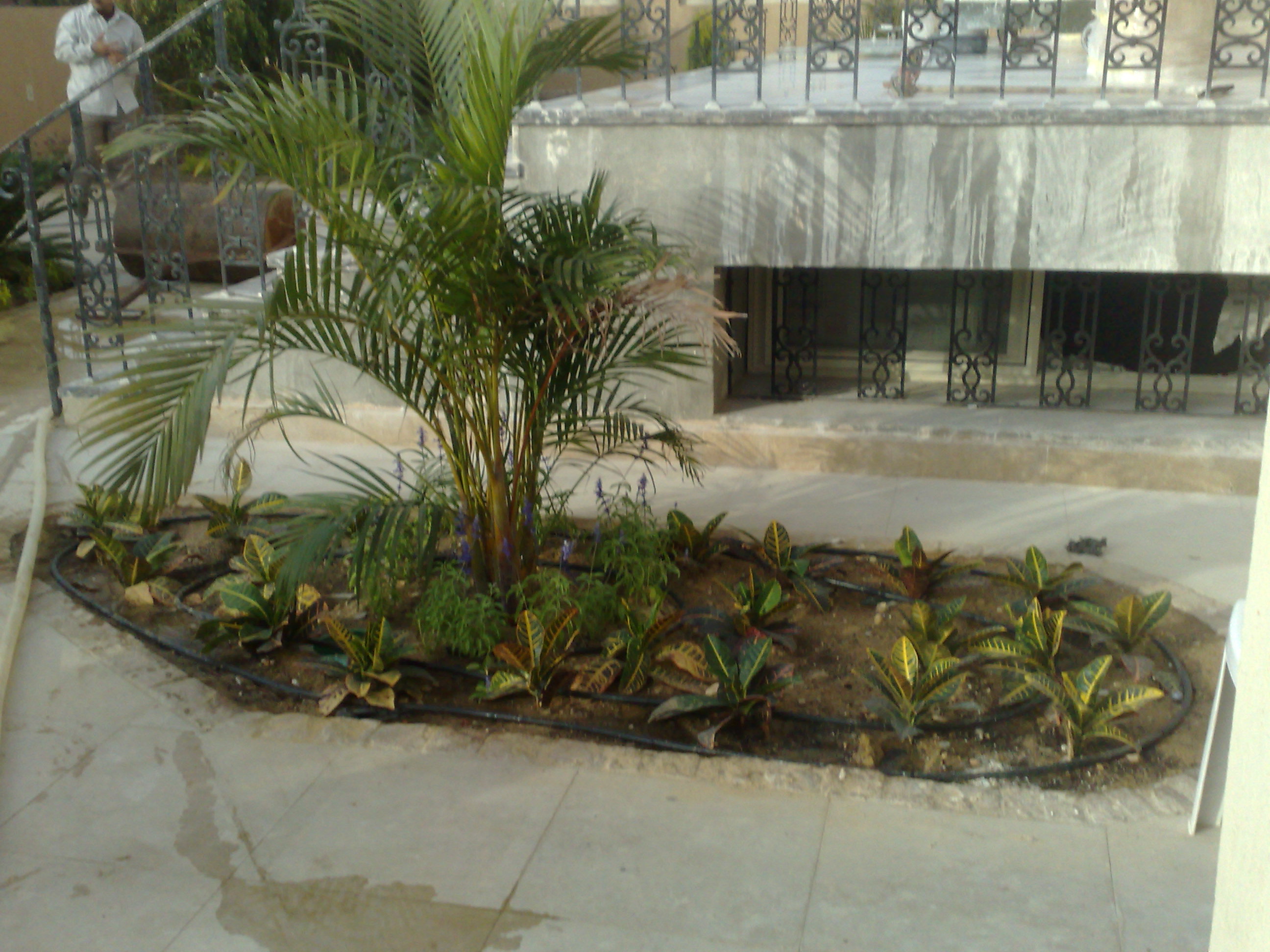 فيلا شخصية - طلائع - صورة 1